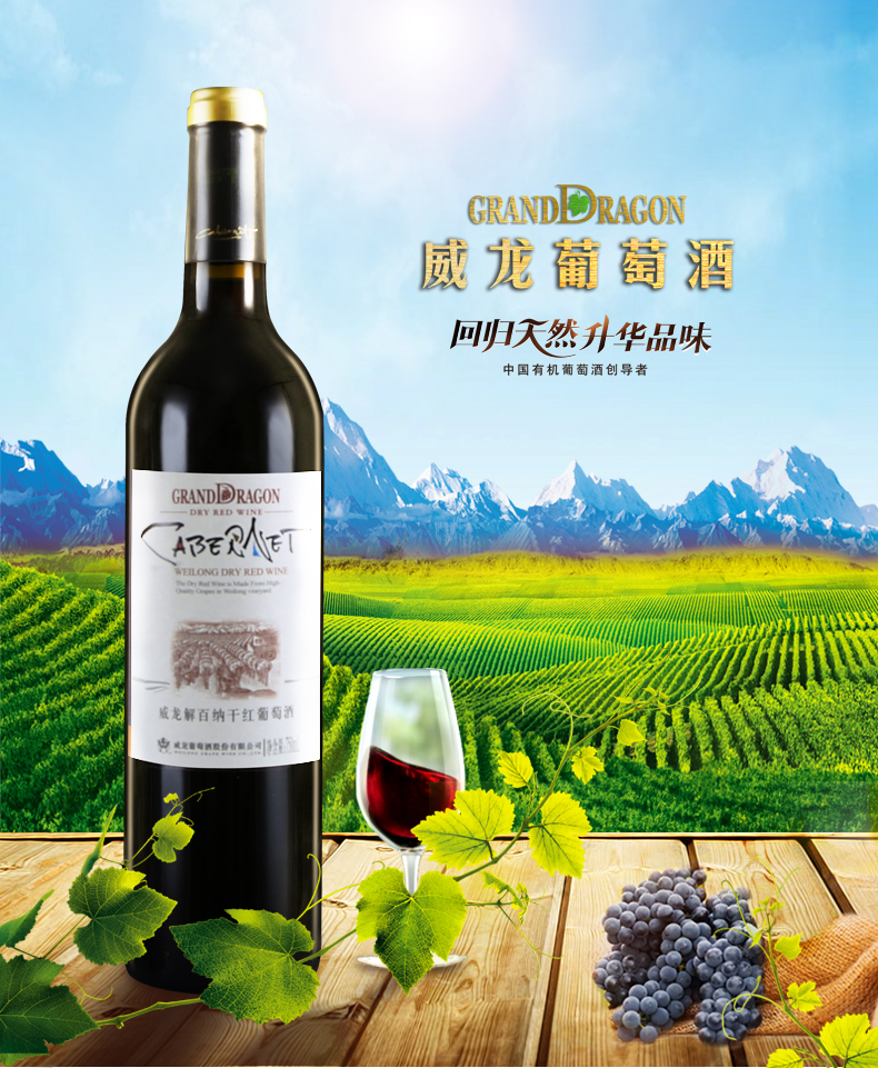 威龍解百納干紅葡萄酒（六支裝）